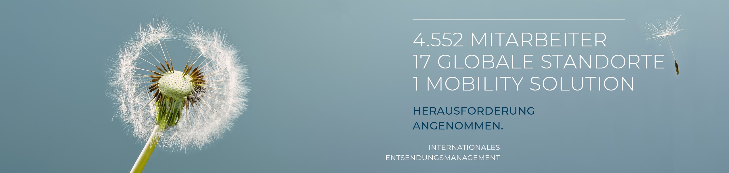 Entsendungsmanagement | Henk International