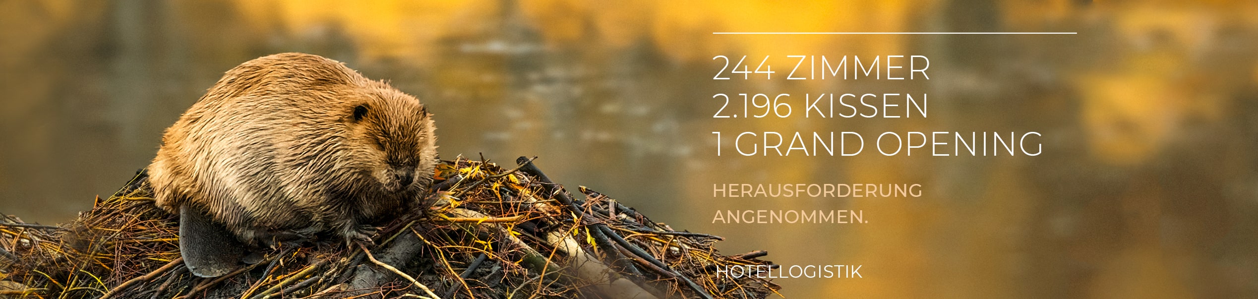 Hotellogistik | Henk International