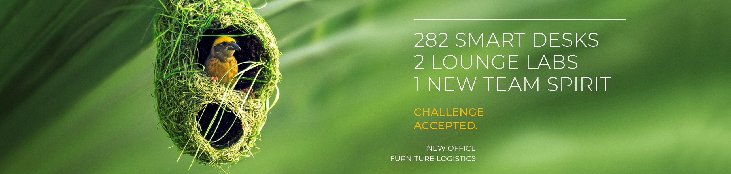 New office furniture logistics | Henk International