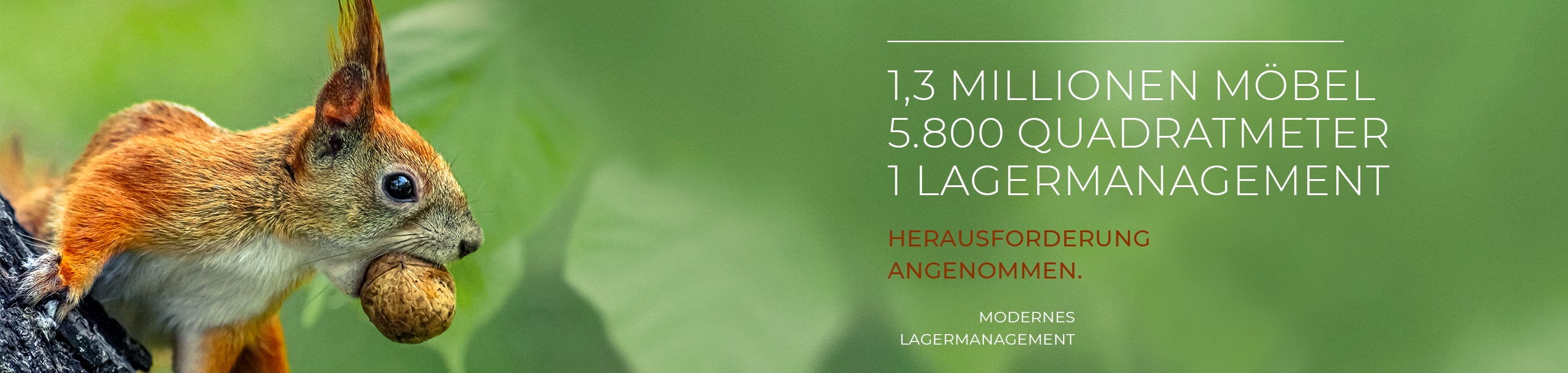 Lagerung | Henk International