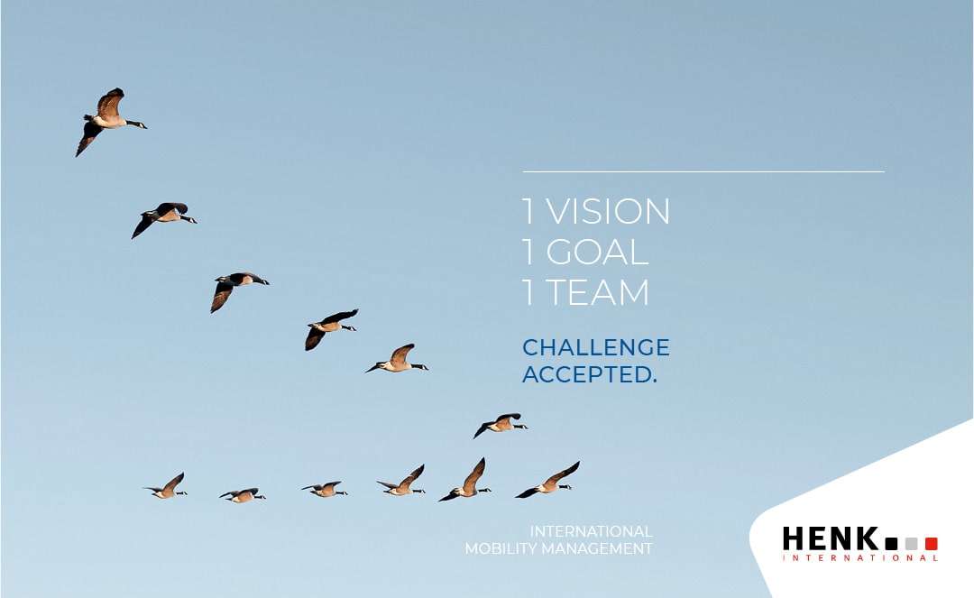 Migrating birds | Henk International Migrating birds | Henk International